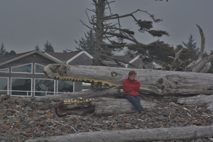 driftwood shaped as a whale